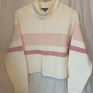 American Eagle Turtle Neck Top